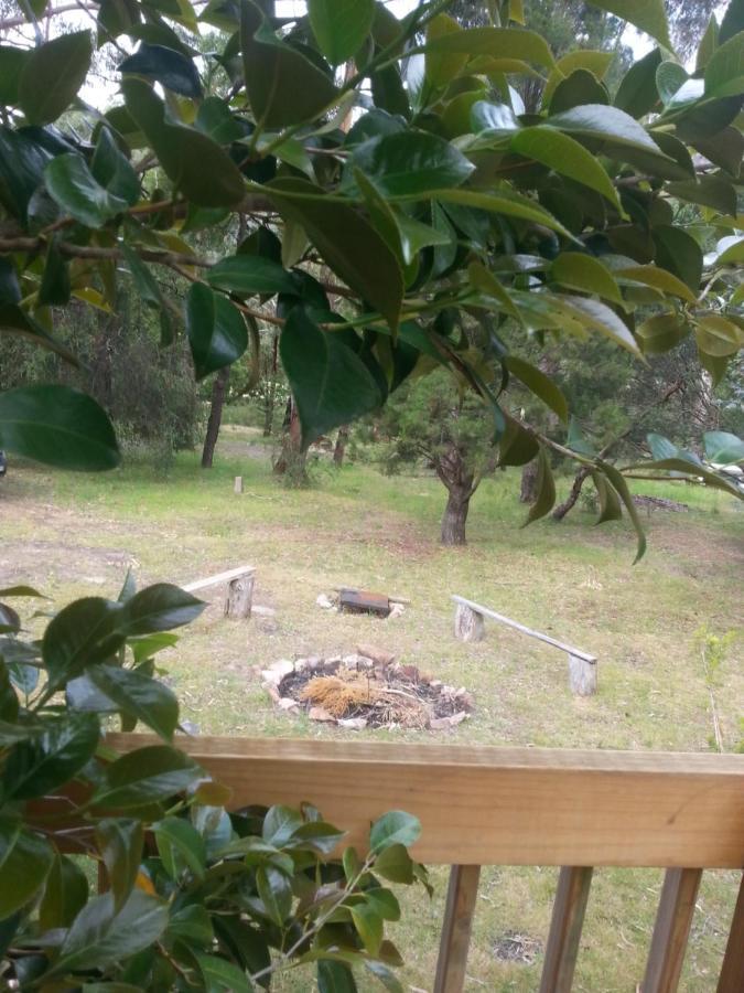 Grampians Nest Villa Холс Гап Екстериор снимка