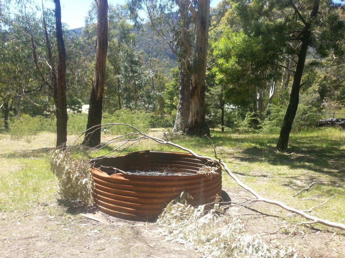 Grampians Nest Villa Холс Гап Екстериор снимка